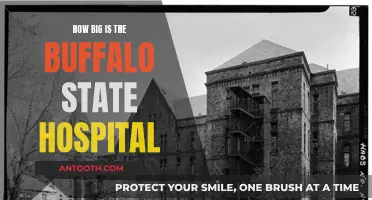 The Massive Buffalo State Hospital: Size and History