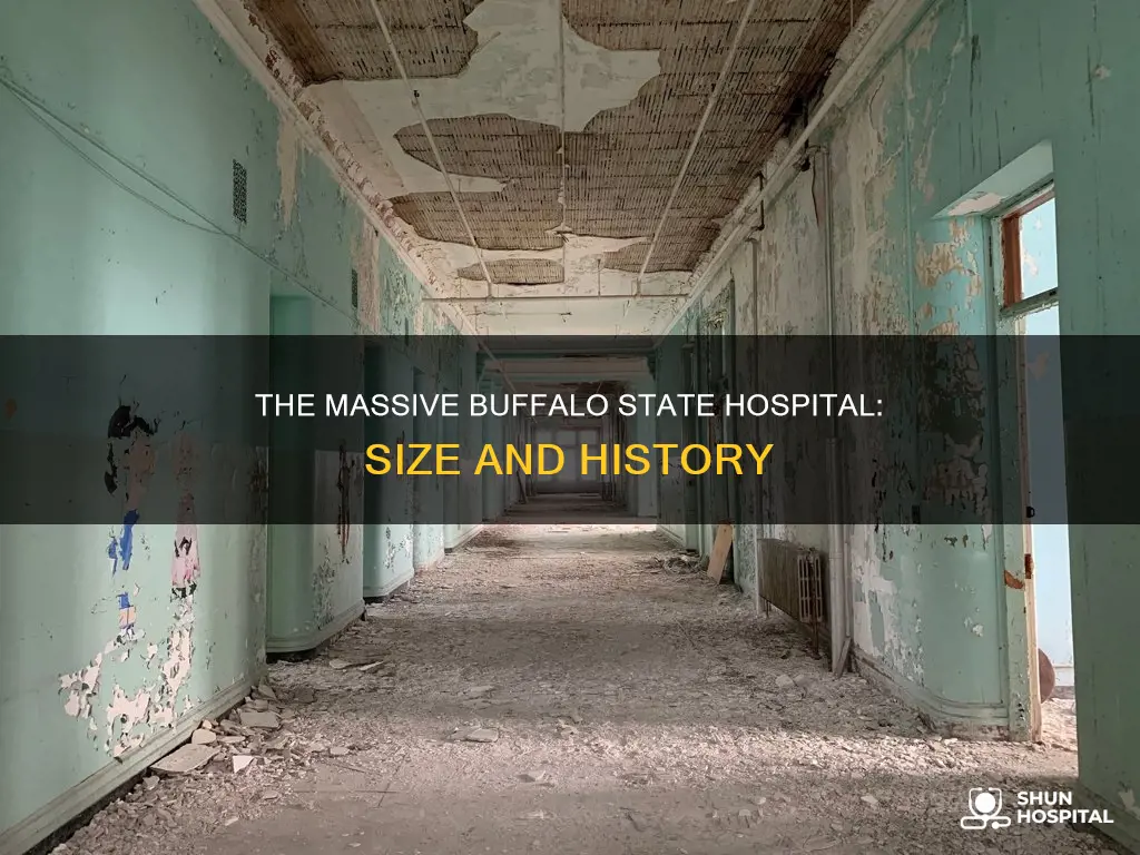how big is the buffalo state hospital
