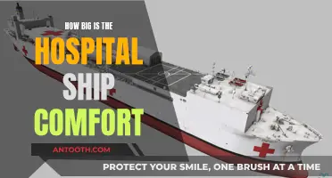 Hospital Ship Comfort: Massive Floating Medical Facility