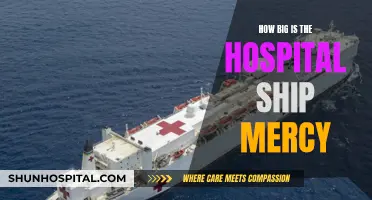 A Floating Hospital: The Mercy's Vital Stats