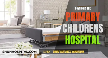 The Massive Scale of Primary Children's Hospital