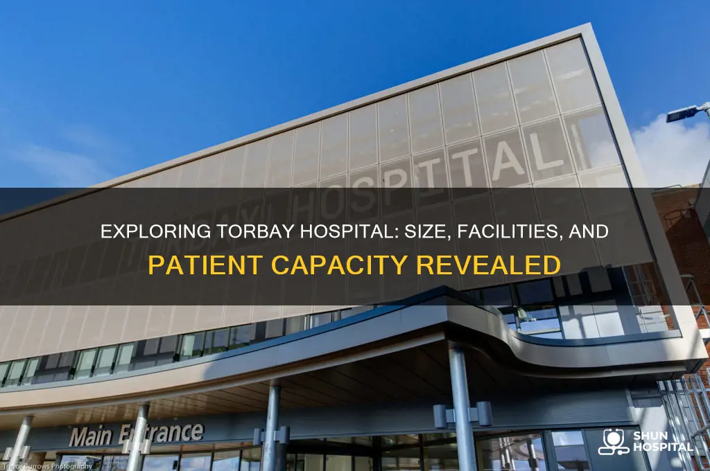 how big is torbay hospital