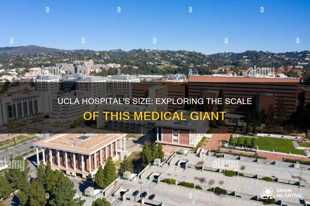 how big is ucla hospital