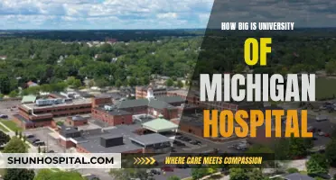 Michigan Medicine: A Sprawling Healthcare Hub