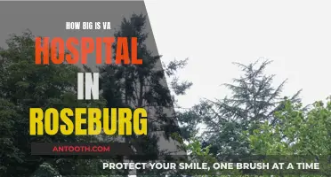 Roseburg VA Hospital: Size and Scope