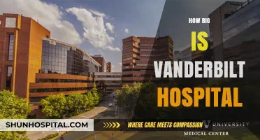 Exploring Vanderbilt Hospital's Size: A Comprehensive Overview of Its Scale