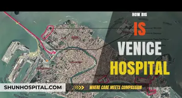 Exploring the Size and Scale of Venice's Hospital Facilities