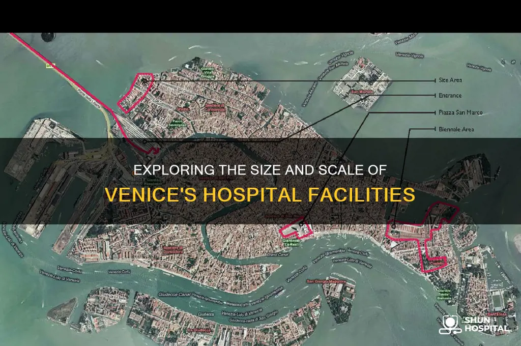 how big is venice hospital