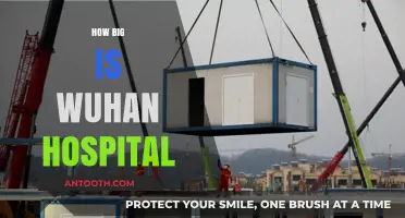 Exploring Wuhan Hospital's Size: A Comprehensive Overview of Its Scale