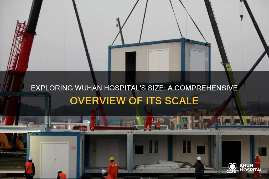 how big is wuhan hospital