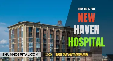 Yale New Haven Hospital: Size and Scope