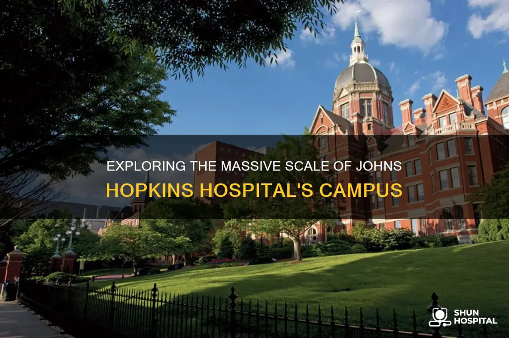 how big johns hopkins hospital