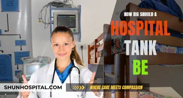 The Right Hospital Tank Size for Your Pet's Recovery