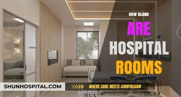 Hospital Rooms: Bland or Necessary? Exploring the Design Dilemma