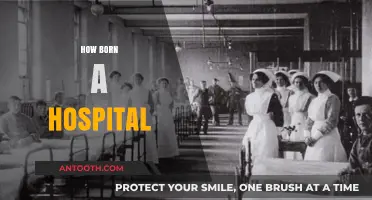 The Evolution of Healthcare: How Hospitals Came to Be