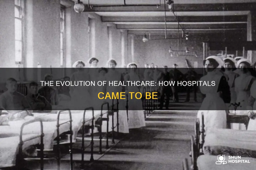 how born a hospital