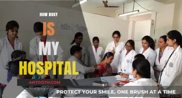 Understanding Hospital Activity: How Busy Is My Hospital?