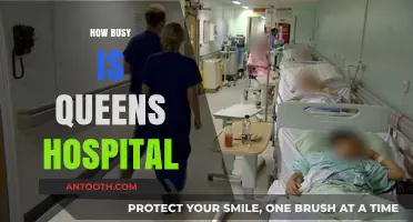 Queens Hospital's Patient Volume: Understanding Its Busy Healthcare Environment