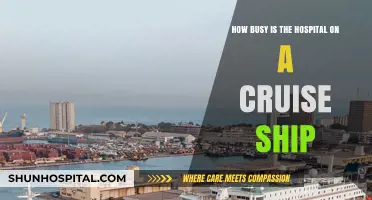 Cruise Ship Medical Care: Unveiling the Hustle of Onboard Hospitals