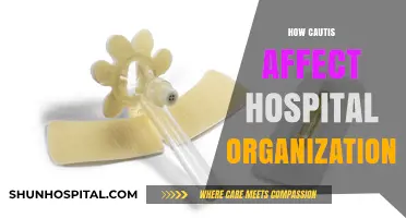Cautis Impact: Challenges and Strategies for Hospital Organizational Efficiency