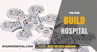China's Rapid Hospital Construction: Strategies, Speed, and Success