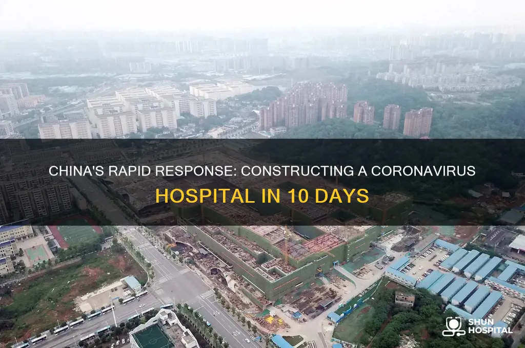how china built a coronavirus hospital in 10 days