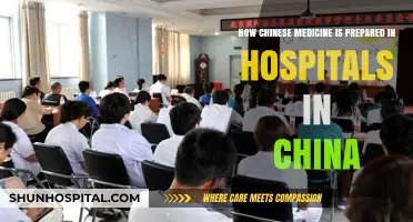 Traditional Chinese Medicine Preparation: Hospital Practices in China Revealed