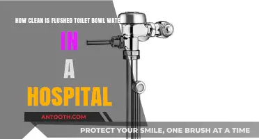 Hospital Toilet Bowl Water Quality: How Clean Is It After Flushing?