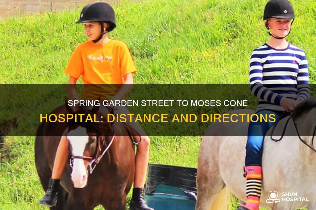 how close is spring garden street to moses cone hospital