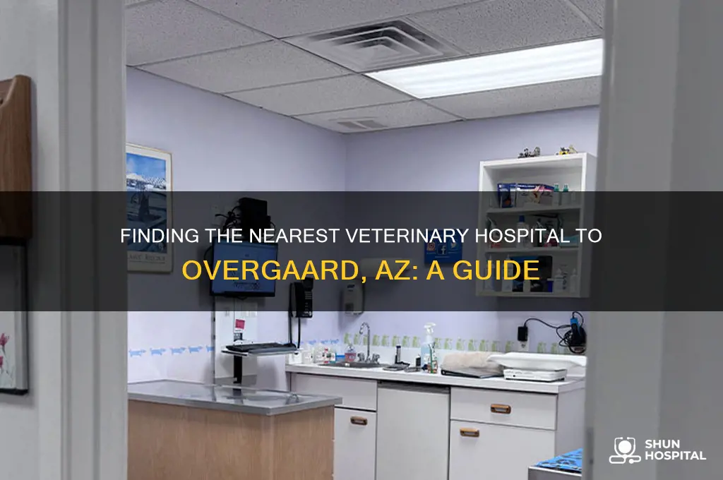 how close is the nearest veterinary hospital to overgaard az