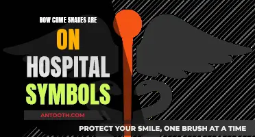 The Snake Symbol: Healing and Hospitals