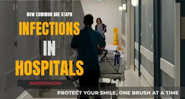 Staph Infections: A Common Hospital Hazard