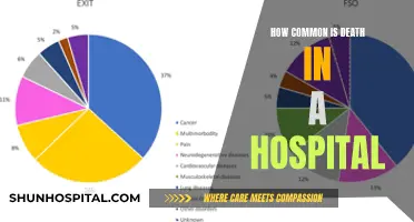 Hospital Deaths: How Often Do They Occur?