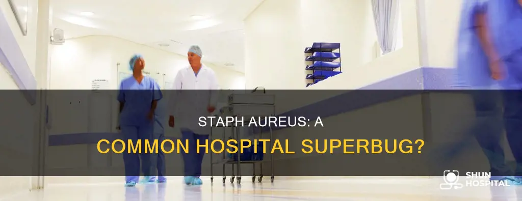 how common is staph aureus in hospitals