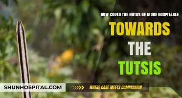 Fostering Unity: Steps for Hutus to Embrace Tutsis with Hospitality