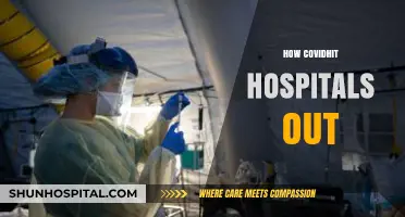 COVID-19's Devastating Impact: How Hospitals Struggled to Cope