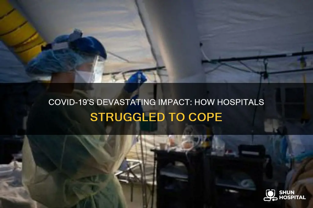 how covidhit hospitals out