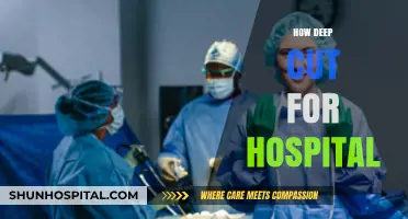 Optimal Depth for Hospital Cuts: Balancing Safety and Efficiency