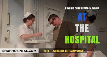 Chief Bromden's Journey: From Freedom to Hospital Walls in One Flew Over the Cuckoo's Nest