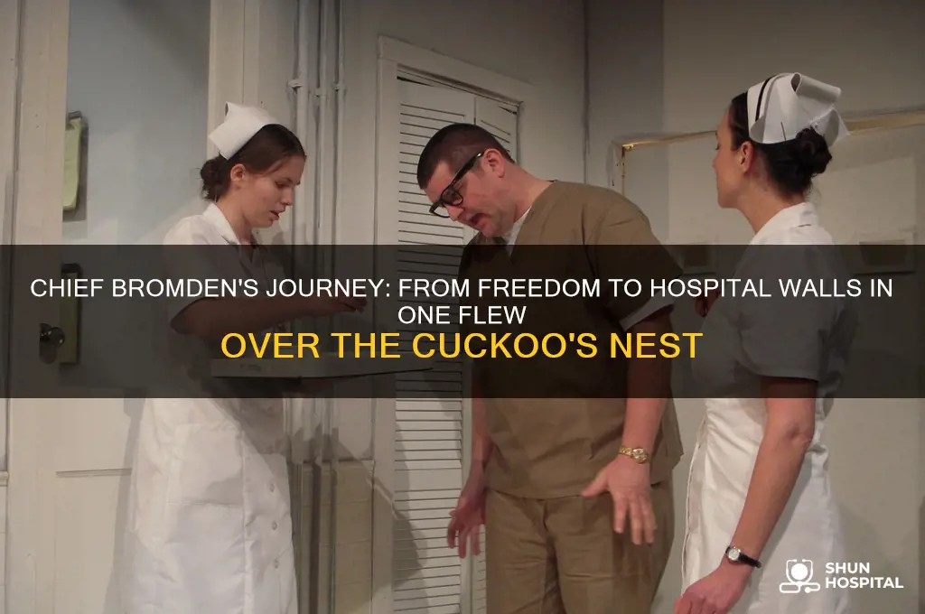 how did chief bromden end up at the hospital