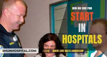 The Emergence of Code Pink in Hospitals