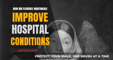Florence Nightingale: Hospital Conditions Reformer