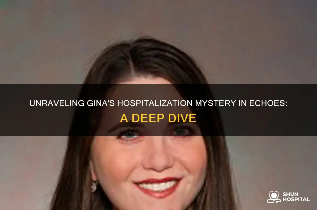 how did gina end up in the hospital in echoes