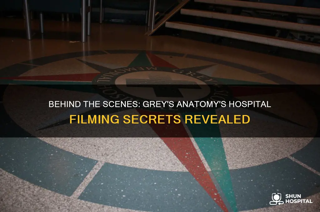 how did grey