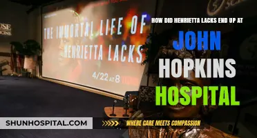 Henrietta Lacks' Journey to Johns Hopkins: A Historical Perspective