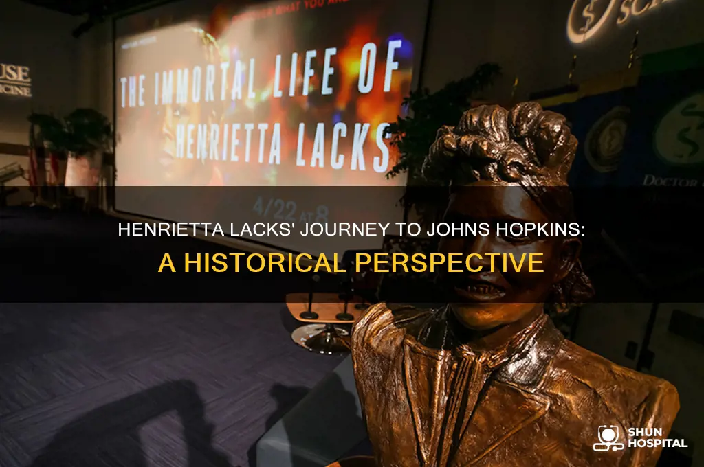 how did henrietta lacks end up at john hopkins hospital