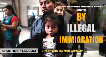 Illegal Immigration's Impact on Hospital Emergency Rooms: Challenges and Realities