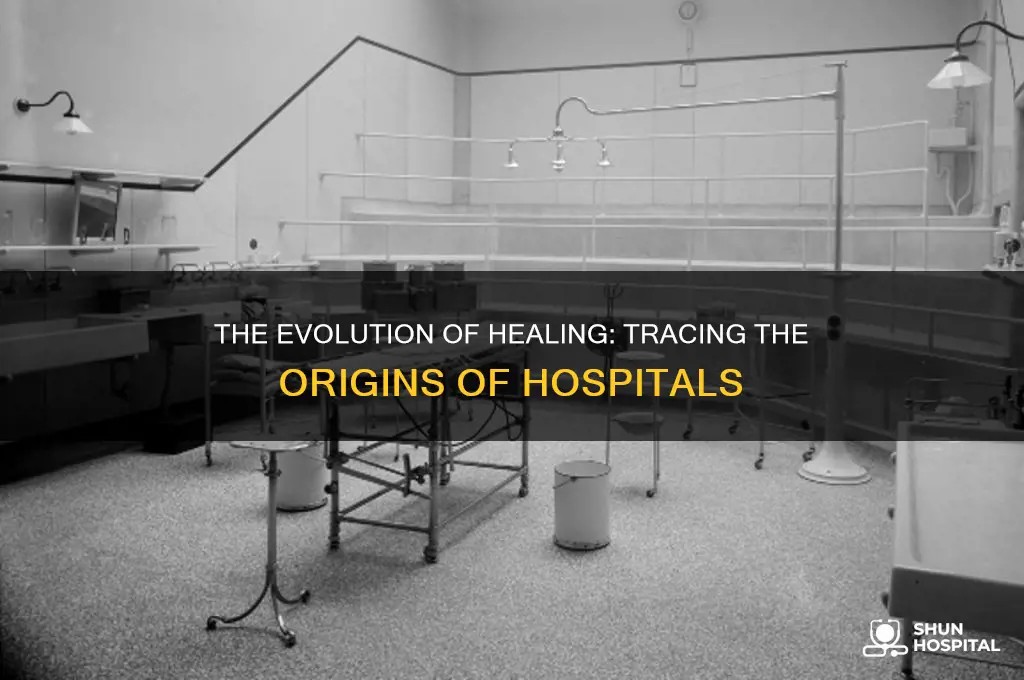 how did hospitals begin