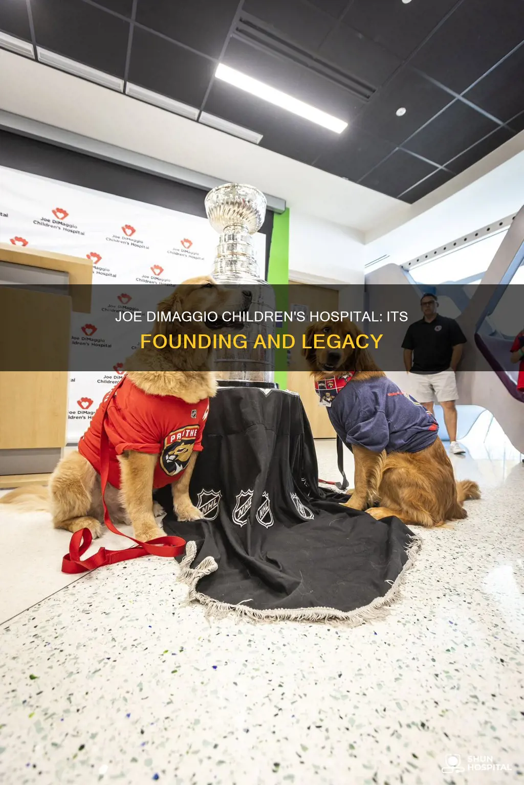 how did joe dimaggio childrens hospital begin