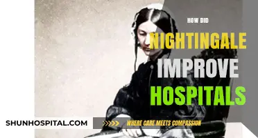 Nightingale's Legacy: Transforming Hospitals Through Sanitation and Patient Care